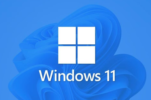 Windows 11 Pro Retail Key (Orjinal)