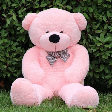 160cm Pembe Büyük Peluş Ayı